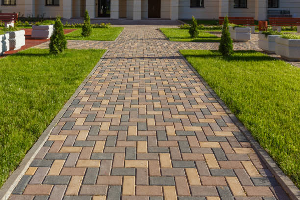 Best Driveway Pavers Near Me  in Terrace Heights, WA